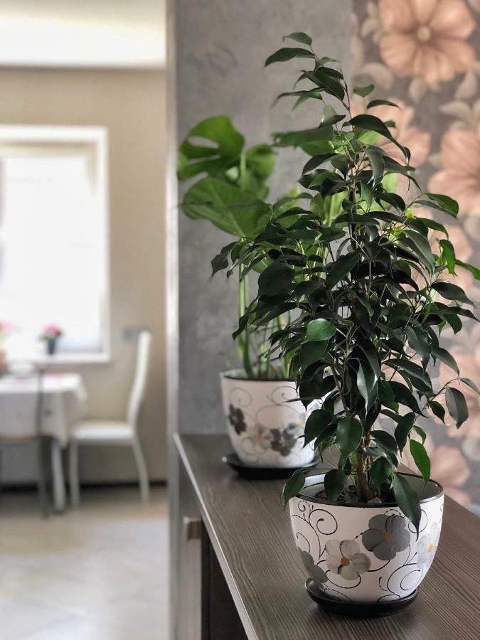 غروندو Apartment Near The Forest المظهر الخارجي الصورة
